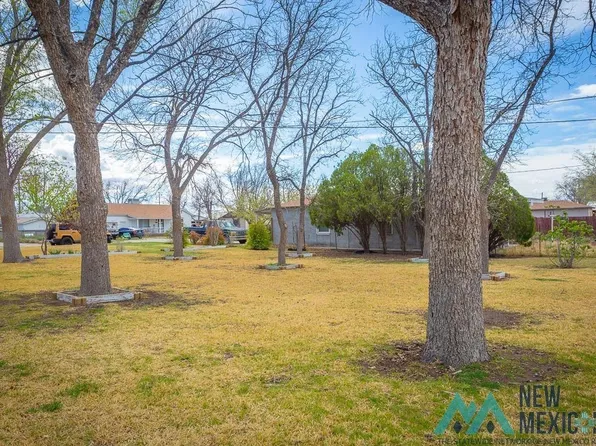 111 N James St, Carlsbad, NM 88220