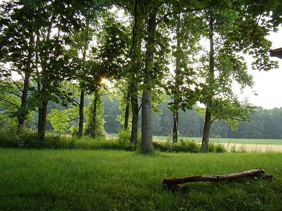 From the side yard you can see across the meadow.
