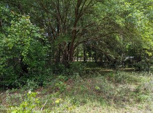 102 Smokey Ave, Interlachen, FL 32148