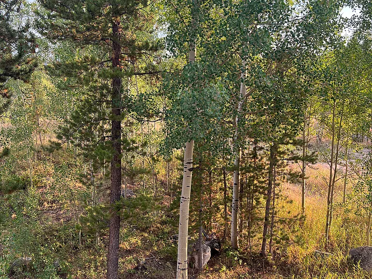 4827 Ryan Gulch Rd #4827 — Photo 26