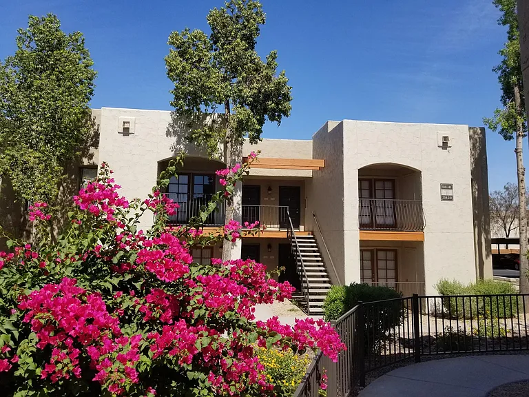 Paradise Foothills — Photo 13