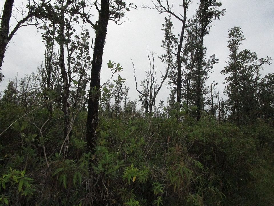 2nd image of Poouli Road Rd #10-lot 5660