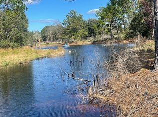 3212 Blue Isle Ln, Groveland, FL 34736