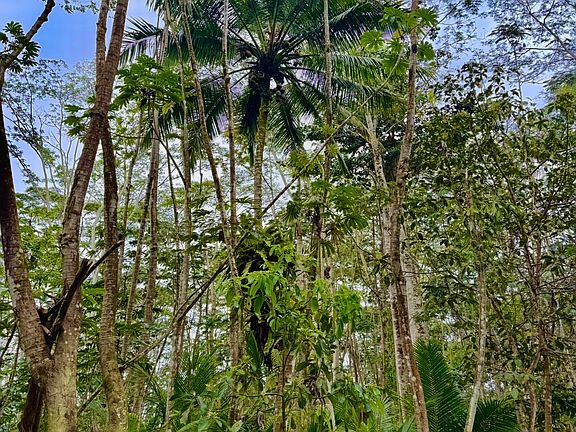 4th image of Puua Kapoho Rd Lot 12