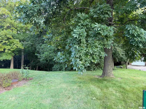 0 W Crestridge Ct, Peoria, IL 61615