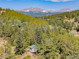 134 Hurricane Hill Dr, Nederland, CO 80466