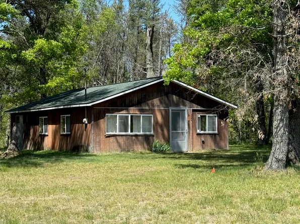 1024 E Ten Mile Rd, Irons, MI 49644