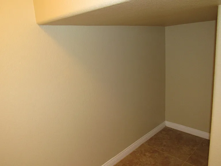 389 Red Eucalyptus Dr — Photo 10