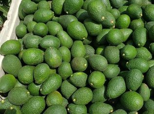 962 Rice Canyon Rd, Fallbrook, CA 92028