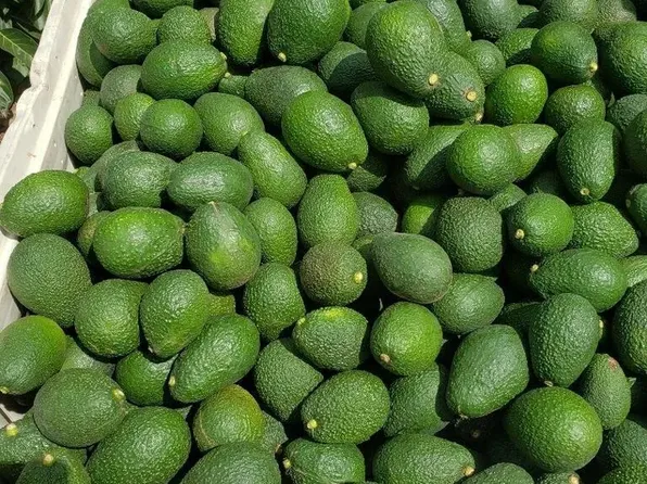 962 Rice Canyon Rd, Fallbrook, CA 92028