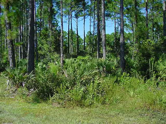 2nd image of 50X320 Vacant Lot On