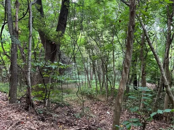 Gum Springs Rd, Parthenon, AR 72666