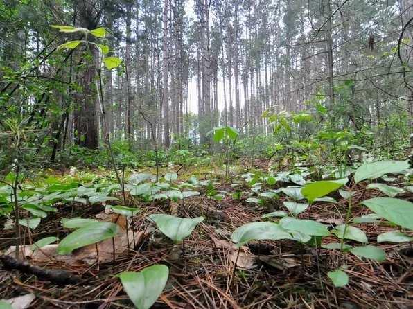 LOT 22 Twin Lane, Redgranite, WI 54970