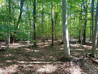 0 S Springview Dr, Empire, MI, 49630