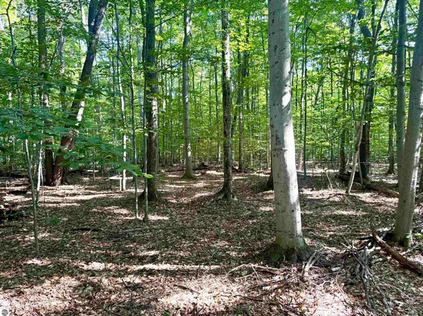 0 S Springview Dr, Empire, MI 49630