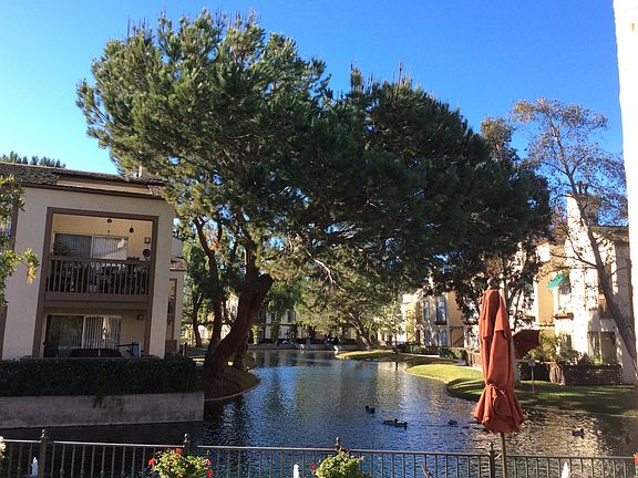 Stunning lakeside view