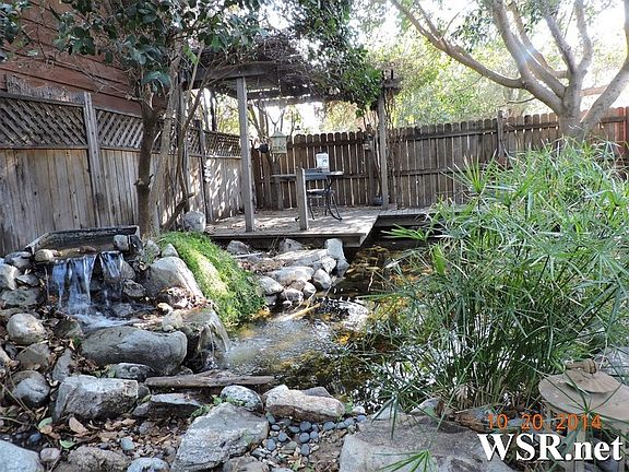 BackyardPond_06222016