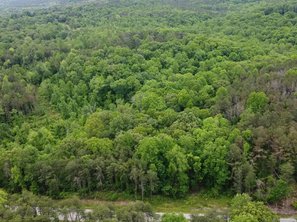 State Highway 243, Phil Campbell, AL 35581