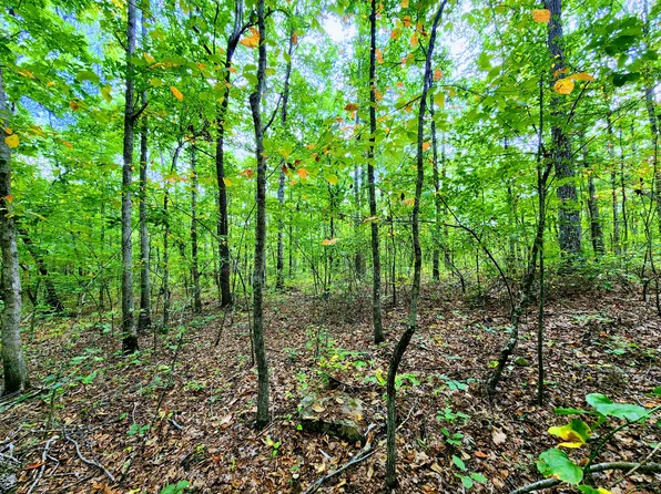 75 Hunters Trail Way Lot 75-76, Altamont, TN 37301