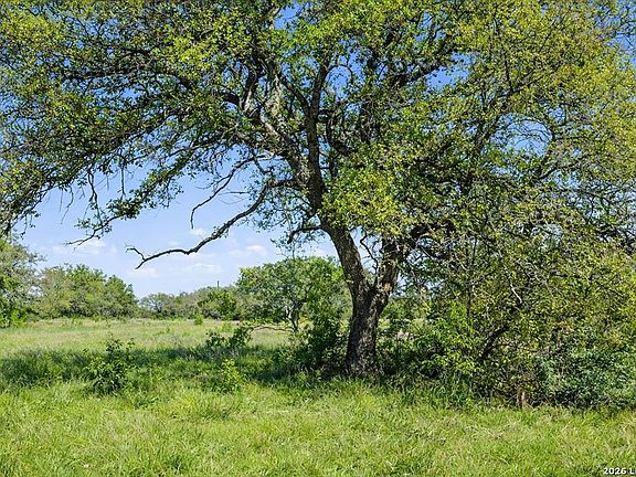 4th image of 0 Lone Star Oak Ranch