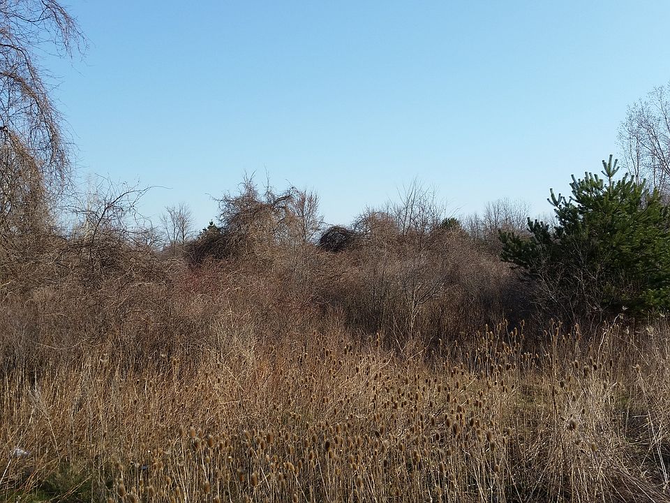 2nd image of Yankee Rd