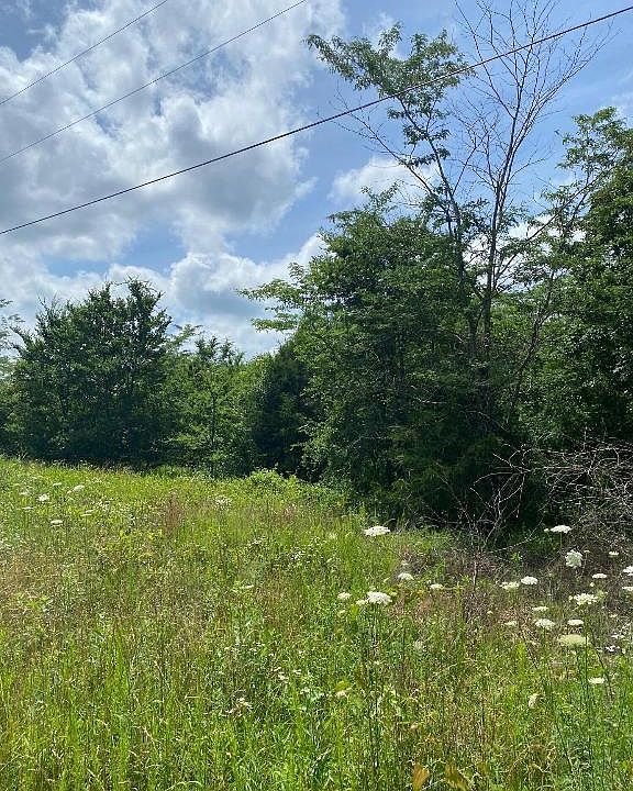 1st image of LOT 5 Bluff Springs Dr