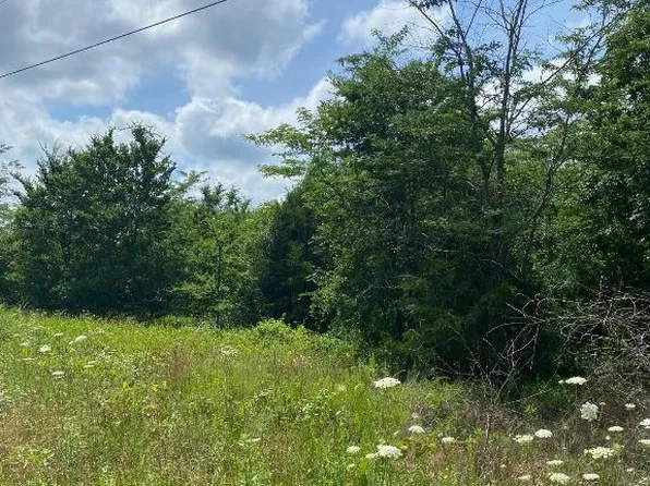 LOT 5 Bluff Springs Dr, Omaha, AR 72662