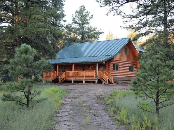 55 Elk Springs Loop, Reserve, NM 87830