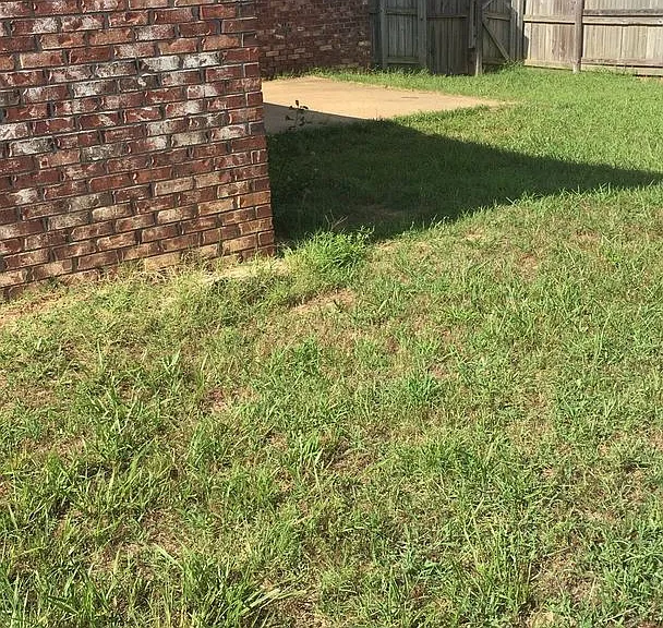 122 Eagle Pointe Loop — Photo 12