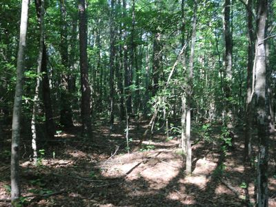 0 Polk Rd #47, Mena, AR, 71953