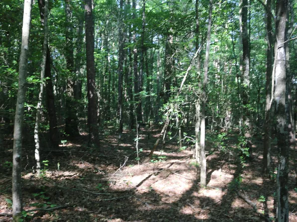 0 Polk Rd #47, Mena, AR 71953