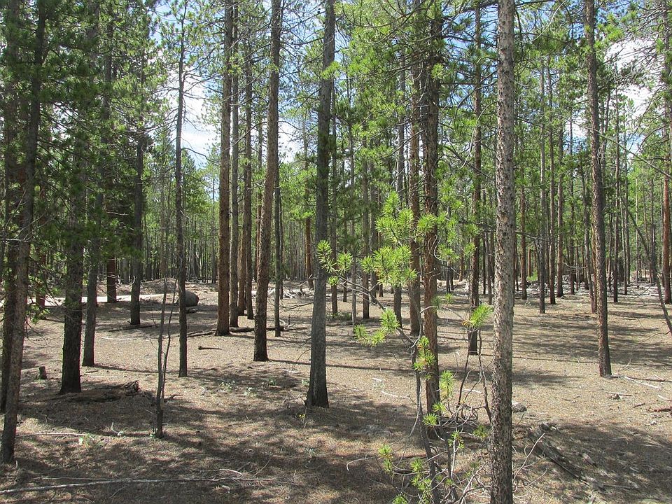 511 Birch Dr Twin Lakes, CO Zillow