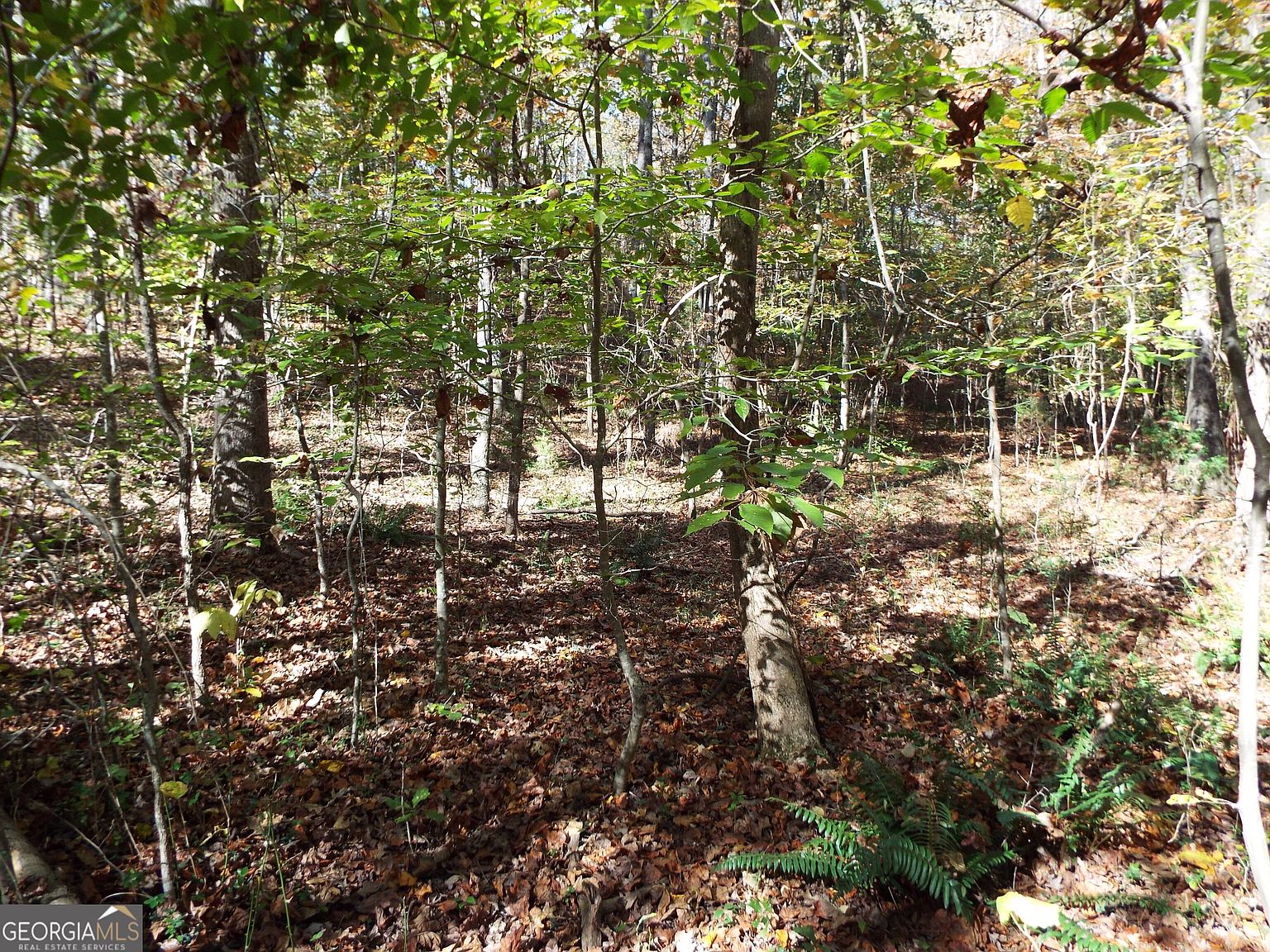 T 2 Dunn Rd, Molena, GA 30258 Zillow