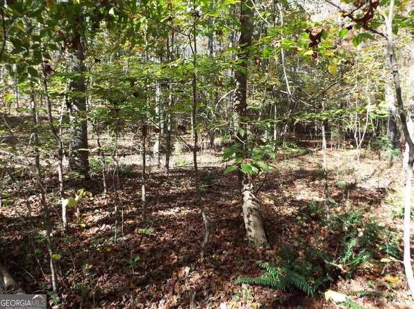 T 2 Dunn Rd, Molena, GA 30258