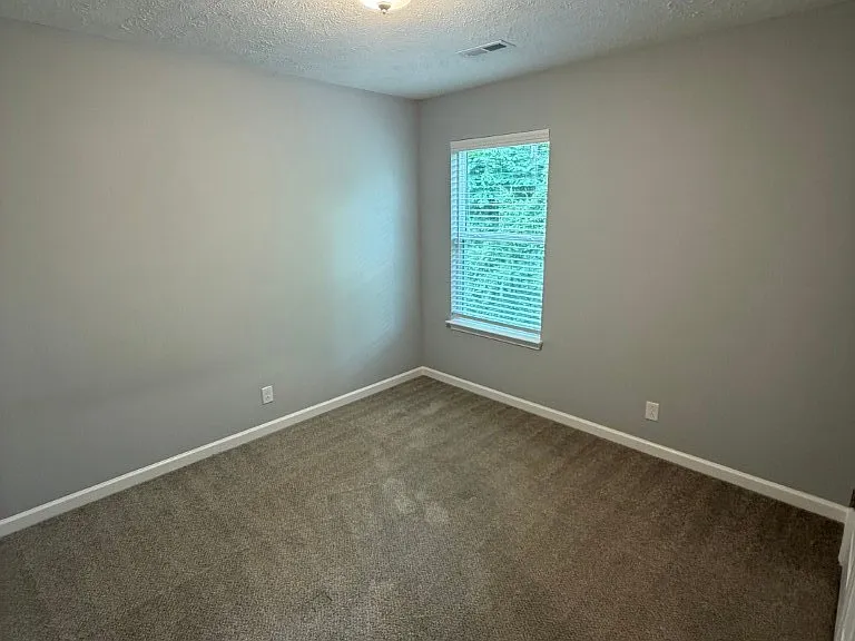 4223 Brogli Dr — Photo 15