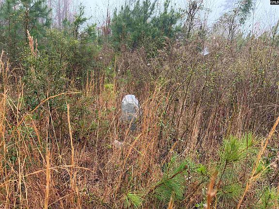 2nd image of 2566 William Brunson Rd