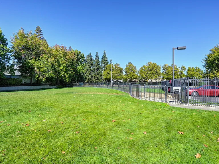 Dog Park On Site