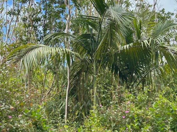 Kahukai St Lot 42, Pahoa, HI 96778