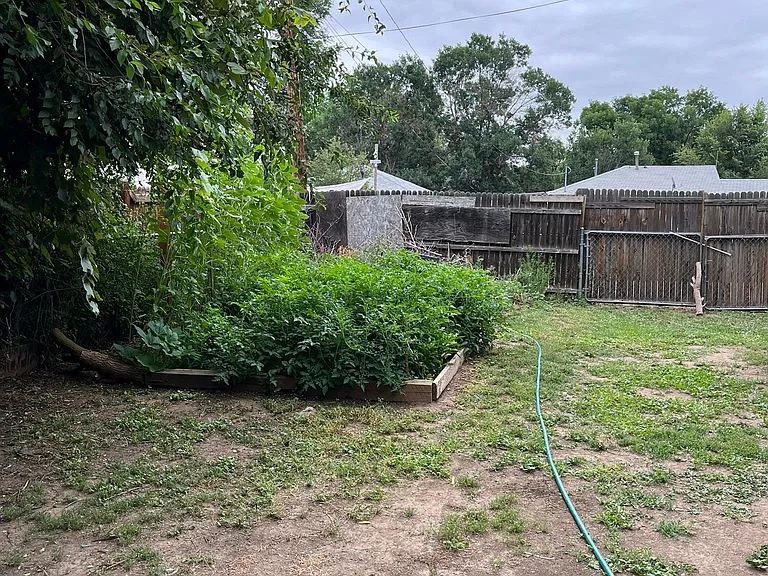 1550 Willow St — Photo 32
