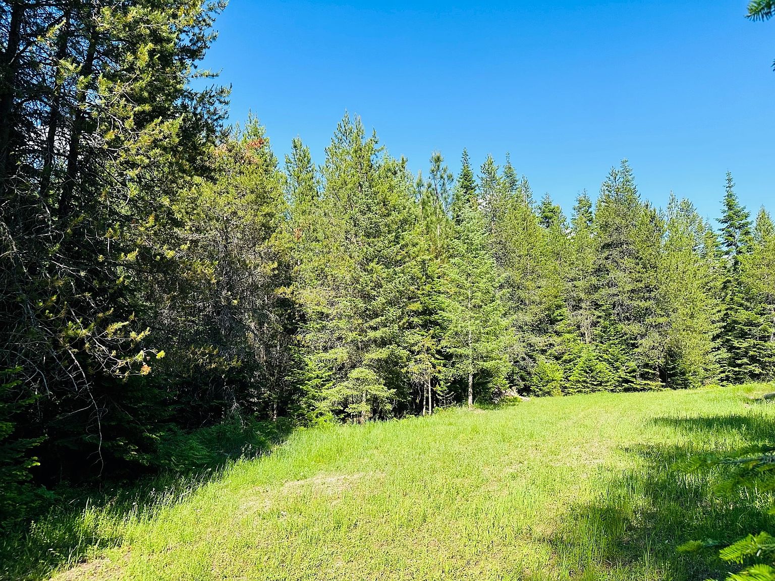 148 Rice Draw Trl, Heron, MT 59844 Zillow