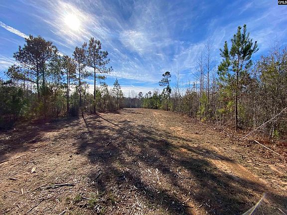 2nd image of 900 Piney Wood Rd