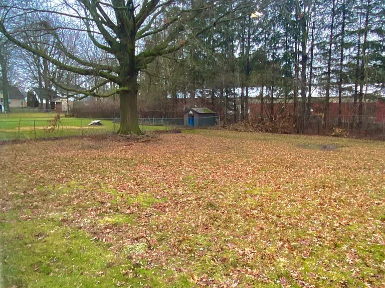 9030 Reed Rd — Photo 14