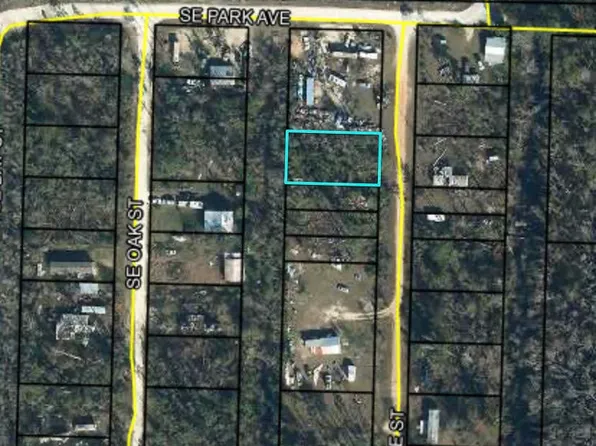 0 SE Pine St, Wewahitchka, FL 32449
