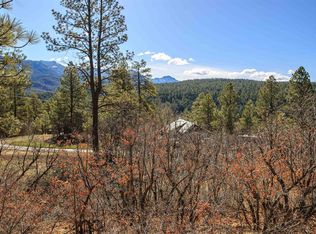 14 Elk Ridge Pl, Pagosa Springs, CO 81147
