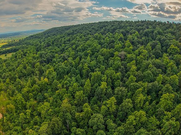 Approx 124 acres of open pasture and wooded mountain land for sale in Winchester, VA by Michael Bender, Mossy Oak Properties Lan
