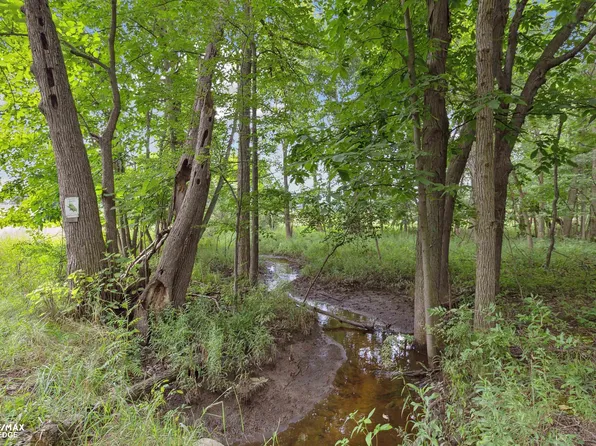 0 Birch Run Rd, Millington, MI 48746
