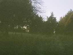 2nd image of 9741 N Dobbs Rd Lot 29