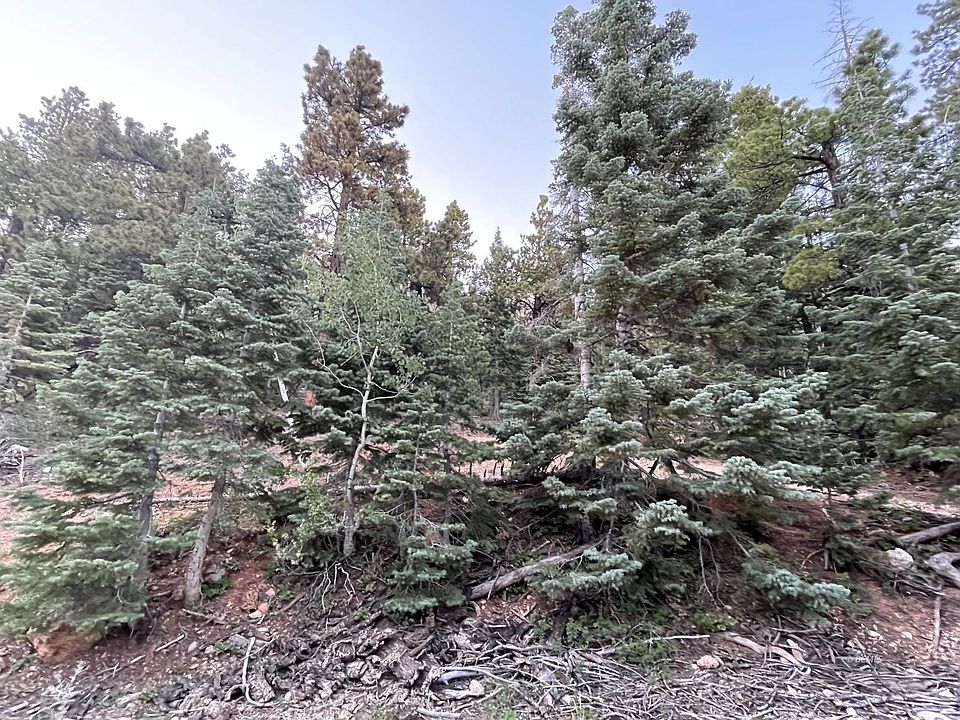 1st image of 5330 W Bitterberry Cir