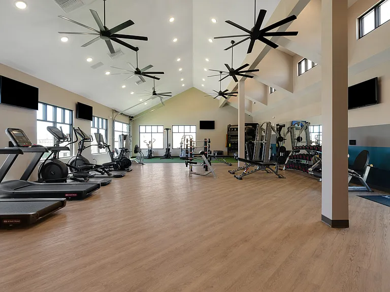 Free Weights