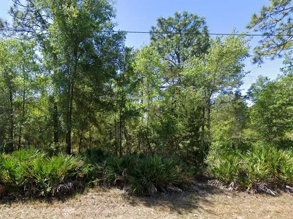 7350 W Village Dr Lot 7-8-10, Homosassa, FL 34446